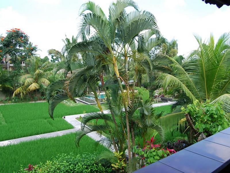 Gerebig Bungalows 2*